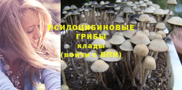 марки lsd Корсаков