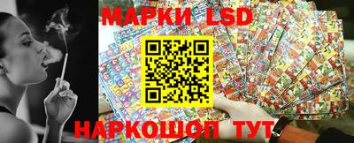 гидропоника Кингисепп