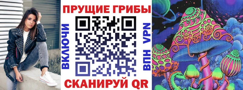 Псилоцибиновые грибы Psilocybe  Первоуральск 