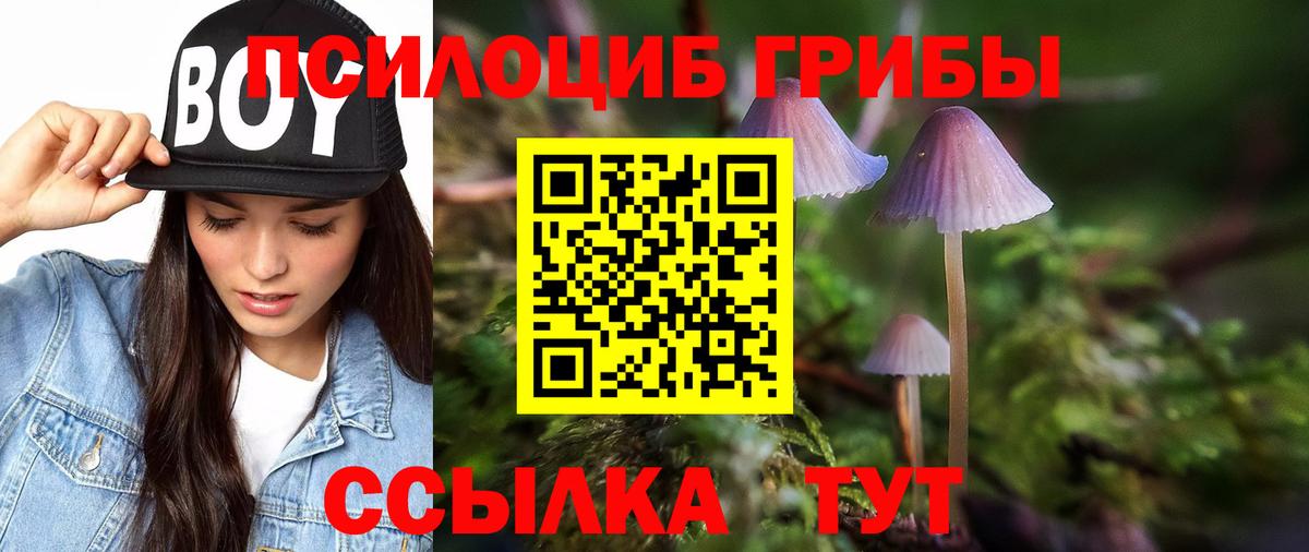 Псилоцибиновые грибы Magic Shrooms Первоуральск